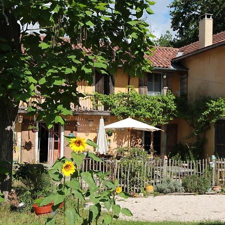 Souslens, Castaignos-Souslens 40 Bed & Breakfast エクステリア 写真